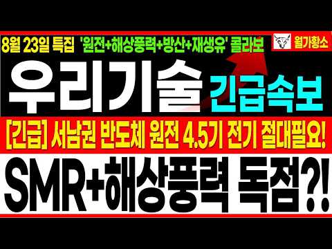 📈 제12차 전기본에 원전 4기, <strong>SMR</strong> 2기 추가 #우리기술 #우리기술주가 #우리기술주가전#우리기술 해상풍력 하치선 독점