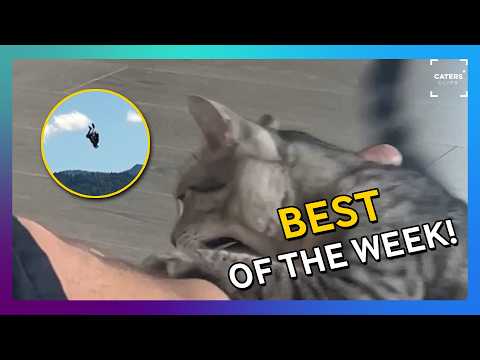The Best Videos On The Internet This Week