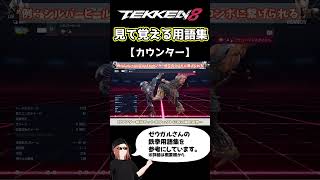 【鉄拳8】見て覚える用語集【カウンター】