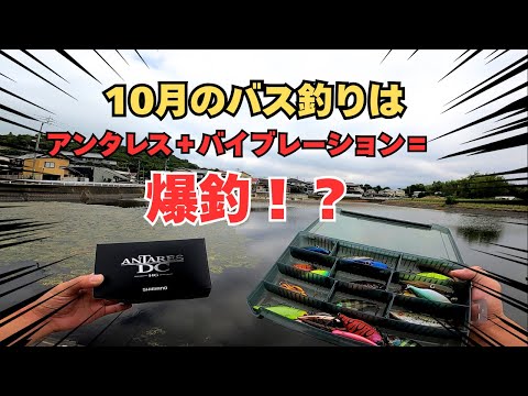 【10月の野池】秋の減水池をアンタレスと巻き物で釣りまくる！！