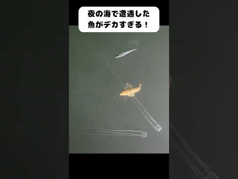 コレはさすがにビビるw