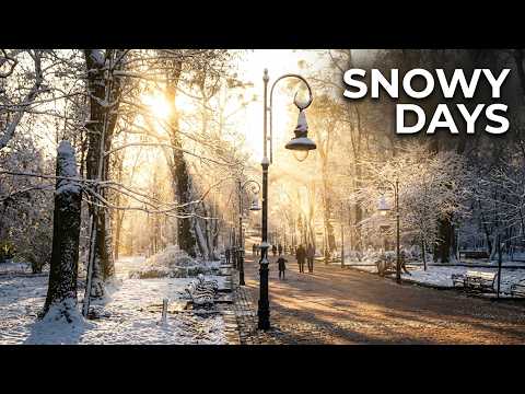 Snowy days and the radiance of winter in the Park