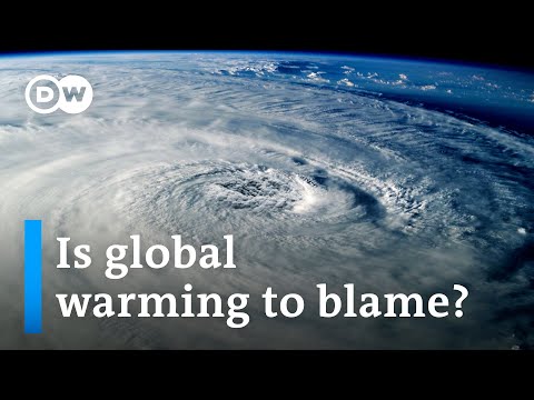 Are rising temperatures fueling ALL extreme weather? | DW News