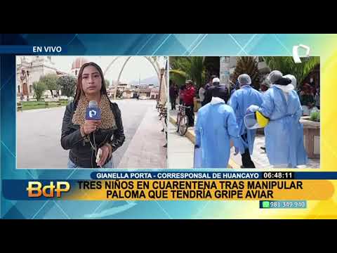 Huancayo: niños que manipularon paloma presuntamente con gripe aviar no presentan síntomas (2/2)