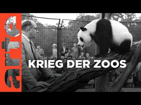 Berlin - Kalter Krieg der Zoos | Doku HD | ARTE