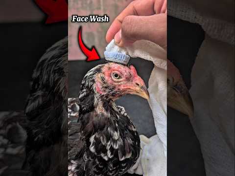 Face Wash #shortvideo