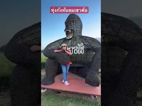 travelทุ่งกังหันลมเขาค้อเพชร