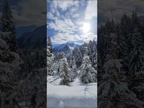 Winter in Austria #view #mountains #shortsvideo #shorts #life