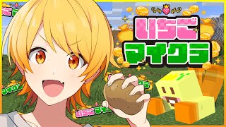 【#いちごマイクラ】じゃがいも稼ぎまくる【STPR/AMPTAK】【からつけあっきぃ】