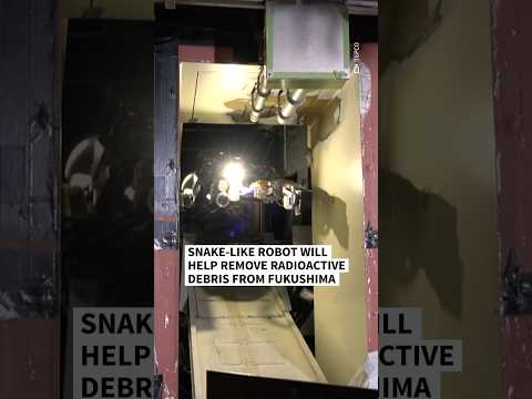 Snake-like robot will help removal of Fukushima radioactive debris | AFP