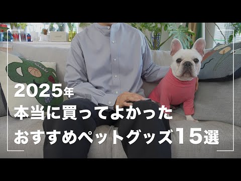 【2025年ベストバイ】愛犬のために買ってよかったおすすめ犬グッズ15選