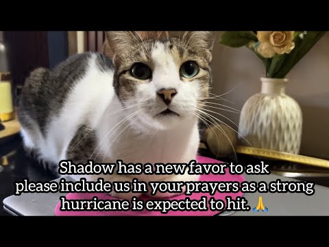 Cat has new favor to ask please include us in your prayers