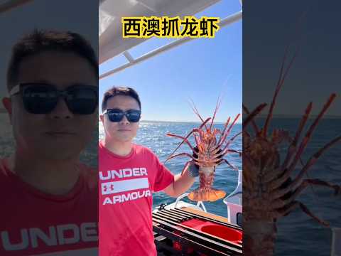 西澳珀斯抓龙虾！