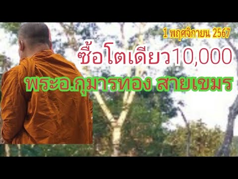 ซื้อโตเดียว10000(พระอ.กุมารทอ