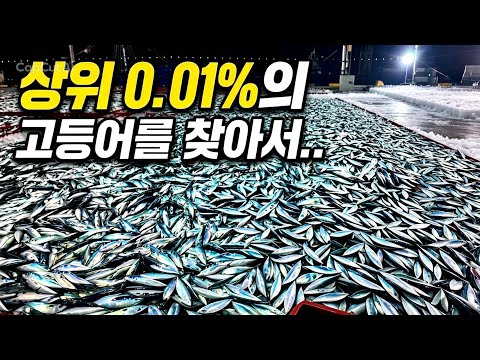 상위 <strong>0.01</strong>% 고등어의 미친 맛.. [뿌리를 찾아서]