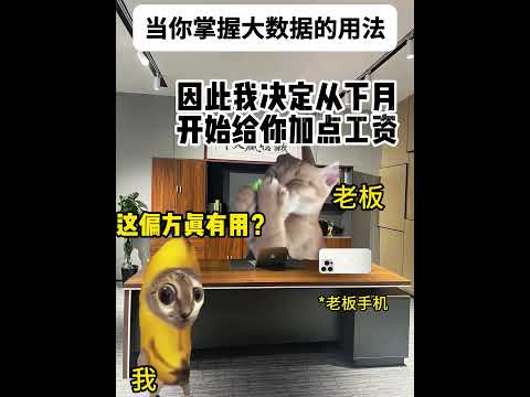 猫の動画サムネイル - 大数据的正确使用方法#有趣 #猫meme #猫meme剧场 #猫meme小剧场 #内容过于真实  #故事 #貓 #猫猫meme小剧场 #喵不可言