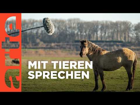 Tiere verstehen - Einblicke in eine fabelhafte Welt | Doku HD | ARTE