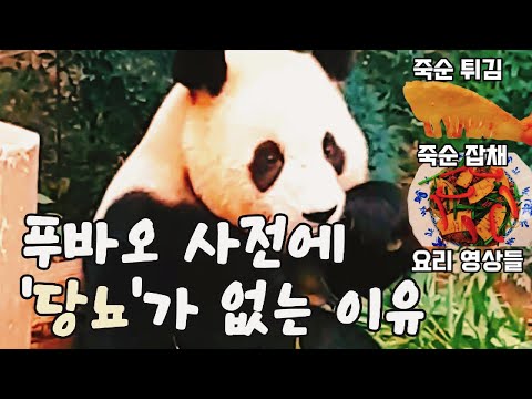 푸바오가 당뇨에 걸리지 않는 이유 &amp; 죽순 튀김과 죽순 <strong>잡채</strong> <strong>레시피</strong>