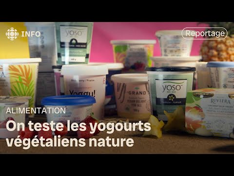 Un test de goût de yogourts végétaliens nature | L'épicerie