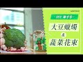 大豆蠟燭與蔬菜花束【綠手作DIY教學】｜綠色和平台灣