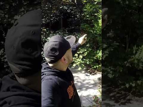 sehr schön Villa in Belgien #lostplace #belgien