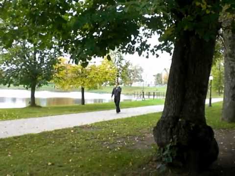 Video: Gangnam Style - Virusas jau paskleistas...