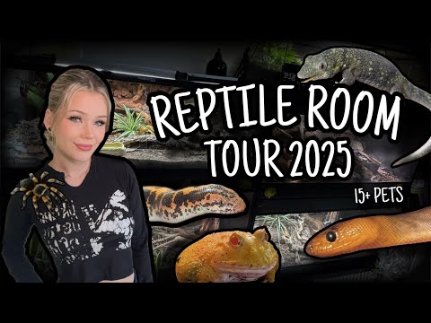 REPTILE ROOM TOUR | 6+ NEW SPECIES | September 2025