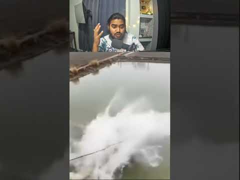 There are so many fish😱 #shorts