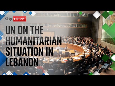 Watch live: UN briefing on the humanitarian situation in Lebanon