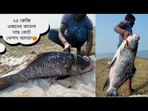 আলতো মজা হবে 😍 ২৫ কেজি কাতলা মাছ খেতে অনেক মজা হবে। 🦈🦈 মাত্র চারজনে খেয়ে ফেললাম এত বড় কাতলা মাছটা 
