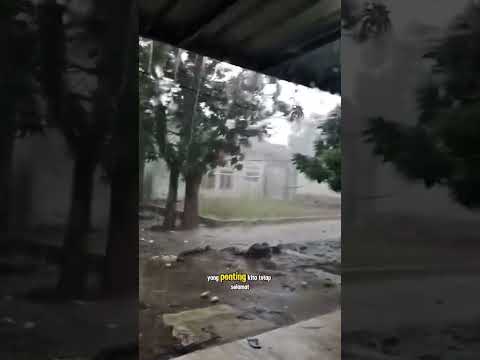 mangga rontok #shorts #budidayatanaman #pertanian #berkebun #fruit #mango #buahbuahan #viral