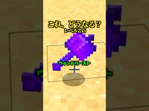 Lv255にした結果がこちら【マイクラ】
