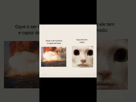 o que nós temos medo