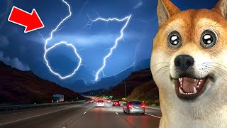 COISAS QUE ACONTECEM 1 VEZ EM 1 TRILHÃO