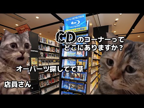 【猫ミーム】【猫マニ】CDってもうレンタル出来ないの?