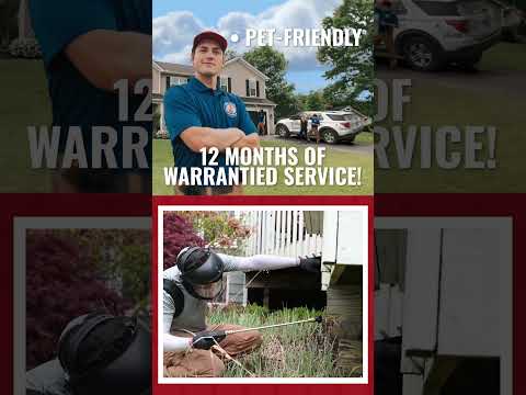 Town and Country Pest Solutions Summer EP Short 15