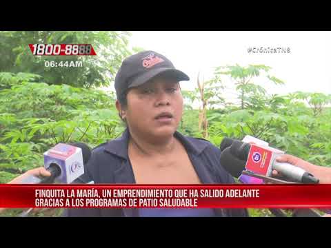 Conozca a Doña María y su exitoso patio saludable - Nicaragua