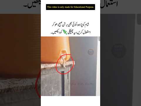 Her Bartan ko Ahtiyat se Istemal keya kare #shorts #newshorts #lizard #viral
