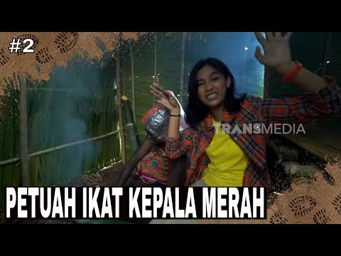 PETUAH IKAT KEPALA MERAH | JEJAK PETUALANG (19/11/24) Part 2