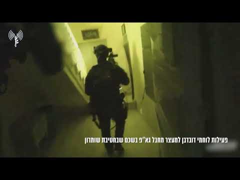 לוחמי דובדבן עצרו מחבל שמזוהה עם ארגון הטרור גא"פ והיה פעיל בהתארגנות הטרור ׳גוב האריות׳ שסוכלה בעבר