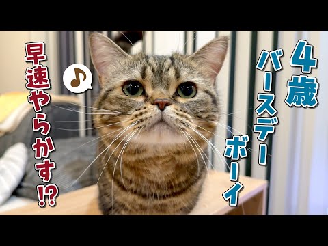 4歳のメルと家族の日常に起こった意外な出来事をご紹介 サムネイル