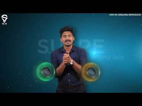 10TH CBSE | BIOLOGY | REPRODUCTION & DNA | SUeRE The Learning APP |