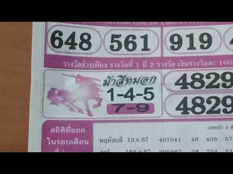 ม้าสีหมอกสีชมพูงวดล่าสุด1พ