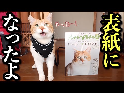 まさか！元野良だった猫がananの表紙になるなんて‥