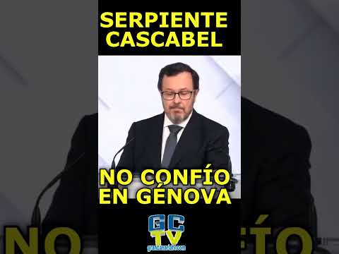 NO CONFÍO Vox  compara al PP con una serpiente de cascabel #pp #vox #psoe #sumar #podemos