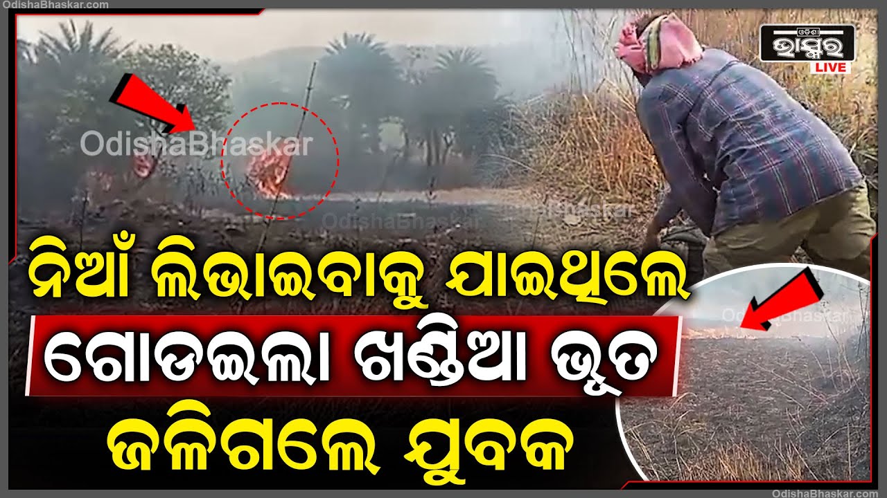 ଜଙ୍ଗଲରେ ନିଆଁ ଲିଭାଇବାକୁ ଯାଇଥିଲେ ଠିକ କର୍ମଚାରୀ...ହଠାତ୍ ଗୋଡ଼ାଇଲା ଖଣ୍ଡିଆଭୁତ, ଘଟିଗଲା ତାଙ୍କ ସହ ବଡ ଅଘଟଣ