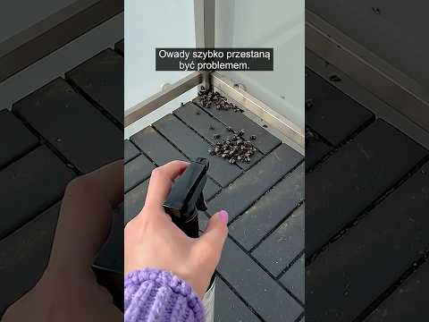 Zapomnij o chemii! Bezpieczny spray na komary i meszki w domu