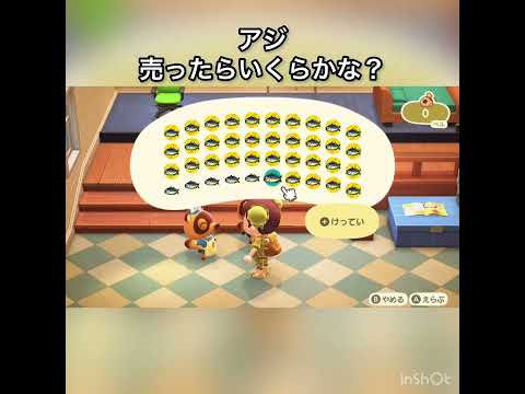 あつ森　アジ売ったらいくらかな？　　#vlog #あつ森 #あつまれどうぶつの森 #こはくちゃんねる2424   #毎日更新　毎日更新中　 金を稼ぐ