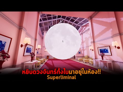 หยิบดวงจันทร์ทั้งใบมาอยู่ในห้อ หยิบดวงจันทร์ทั้งใบมาอยู่ในห้อ