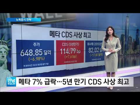 [뉴욕증시 전략] <strong>메타</strong> 7% 급락…5년 만기 CDS 사상 최고